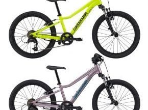 Cannondale Trail 20 Kids Mountain Bike  2022 Lavender - SkullCycles UK