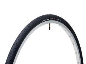 Panaracer Ribmo Folding Tyre 700x25c - SkullCycles UK