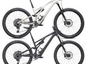 Specialized Stumpjumper EVO Expert Carbon 29er Mountain Bike 2023 S5 - Gloss Birch/Taupe - SkullCycles UK