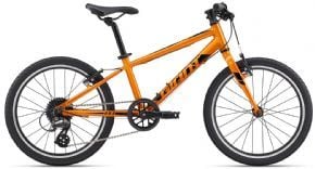 Giant ARX 20 Kids Bike 2024 20" - Metallic Green - SkullCycles UK